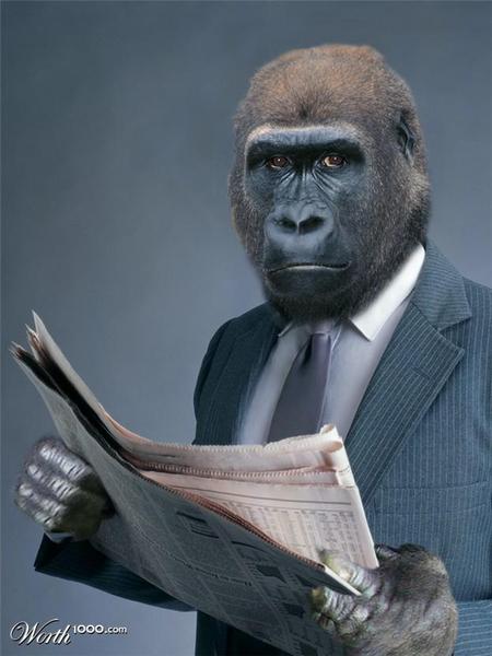 Listen to the podcast