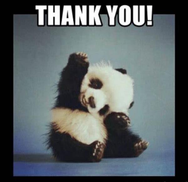thank you Panda