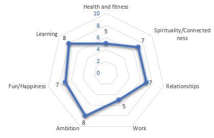 Download your Spider Chart here