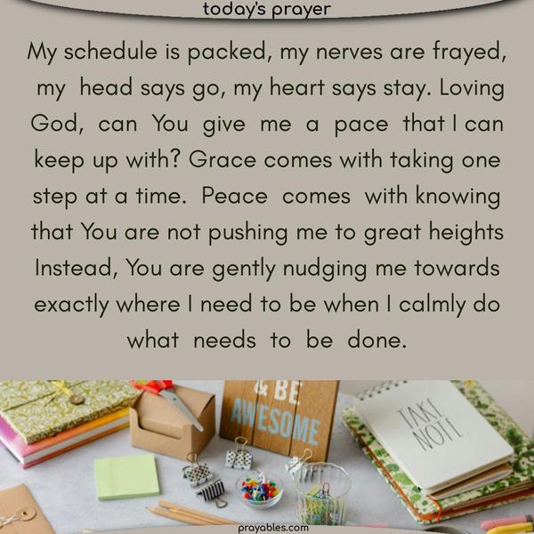 My schedule is packed, my nerves are frayed, my head says go, my heart says stay. Loving God, can You give me a pace that I can keep up with? Grace comes with taking one step at a time. Peace comes with knowing that You are not pushing me to great heights. Instead, You are gently nudging me towards exactly where I need to be when I calmly do what needs
to be done.