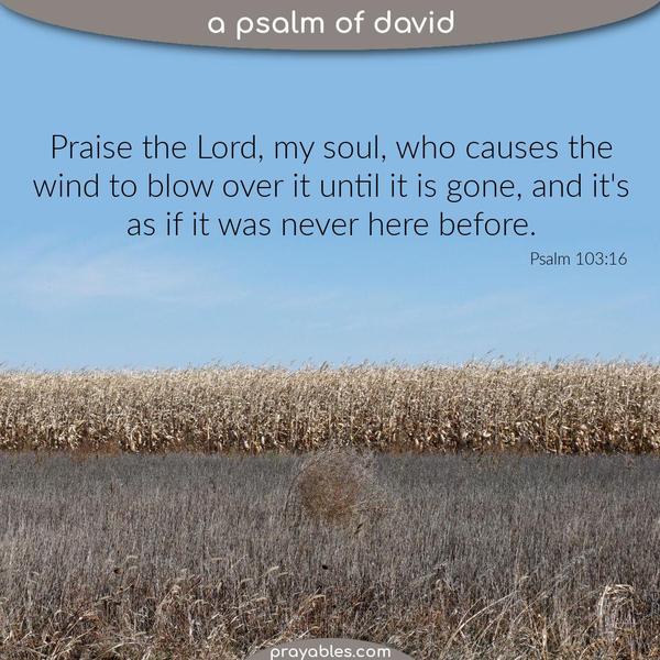 Psalm 103:16 Praise the Lord, my soul, who causes the wind to blow over it until it is gone, and it's as if it was never here before.