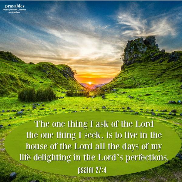 Psalm 27:4 The one thing I ask of the Lord, the one thing I seek, is to live in the house of the Lord all the days of my life delighting in the Lord’s perfections.