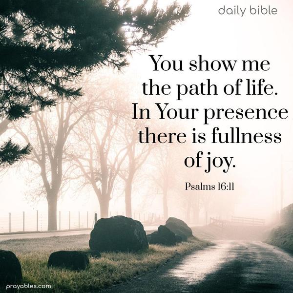 You show me the path of life. In Your presence, there is fullness of joy. Psalms 16:11