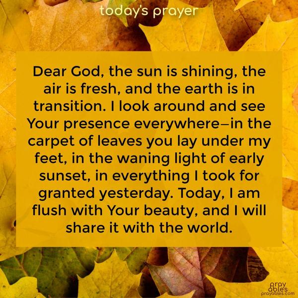 Dear God, the sun is shining, the air is fresh, and the earth is in transition. I look around and see Your presence everywhere—in the carpet of leaves you lay under my feet, in the waning light of early sunset, in everything I took for granted yesterday. Today, I am flush with Your beauty, and I will share it with the world.