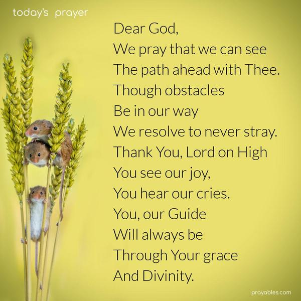 Dear God, We pray that we can see the path ahead with Thee. Though obstacles be in our way, we resolve to never stray. Thank You, Lord, on High, You see our joy, You hear our cries. You, our Guide, will always be, through Your grace and divinity.