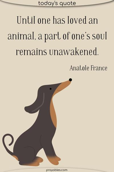 Until one has loved an animal, a part of one’s soul remains unawakened. Anatole France