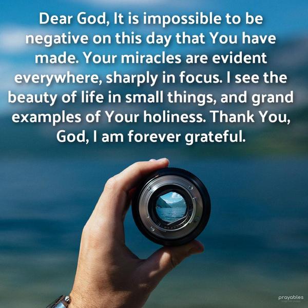 Dear God, It is impossible to be negative on this day that You have made. Your miraculous works are evident everywhere, sharply in focus. I see the beauty
of life in small things, grand examples of Your holiness. Thank You, God, I am forever grateful.