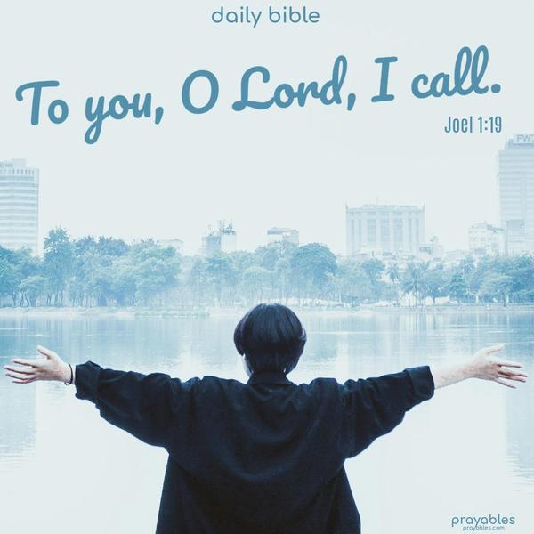 To you, O Lord, I call Joel 1:19