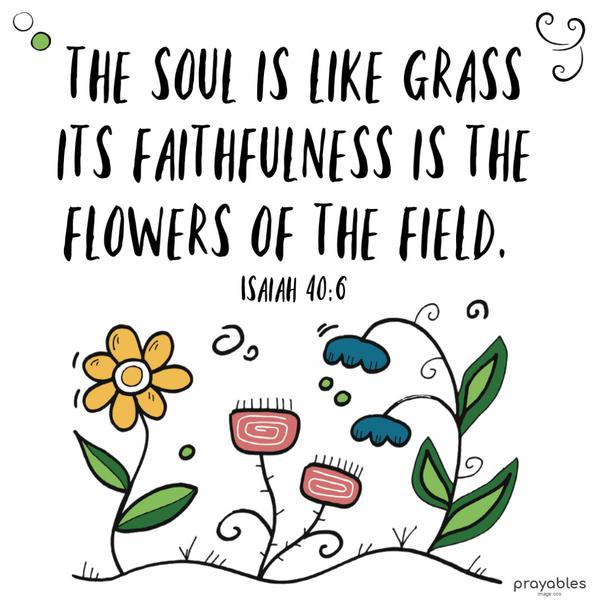 Isaiah 40:6 The soul is like grass, its faithfulness is the flowers of the field.