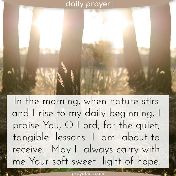 In the morning, when nature stirs and I rise to my daily beginning, I praise You, O Lord, for the quiet, tangible lessons I am about to
receive. May I always carry with me Your soft sweet light of hope.