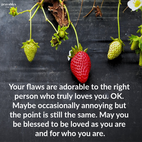 Your flaws are adorable to the right person who truly loves you. OK. Maybe occasionally annoying but the point is still the same. May you be blessed to be loved as you are and for who you are.