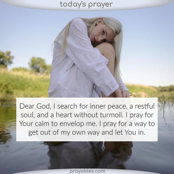 Dear God, I search for inner peace, a restful soul, and a heart without turmoil. I pray for Your calm to envelop me. I pray for a way to get out of my own way and let You in.