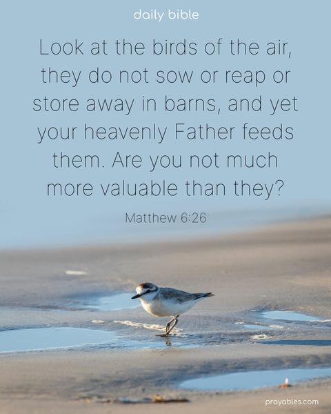 Look at the birds of the air, they do not sow or reap or store away in barns, and yet your heavenly Father feeds them. Are you not much more valuable than they? Matthew 6:26
