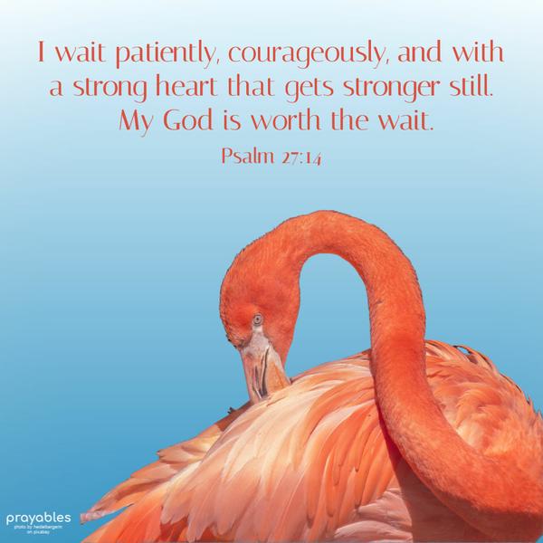 Psalm 27:14 I wait patiently, courageously, and with a strong heart that gets stronger still. My God is worth the wait.