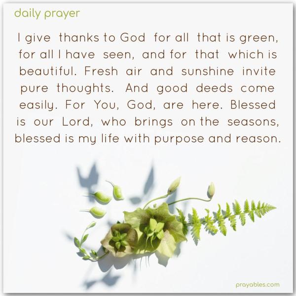I give thanks to God for all that is green, for all I have seen, and for that which is beautiful. Fresh air and sunshine invite pure thoughts. And good deeds come easily. For You, God, are here. Blessed is our Lord, who brings on the seasons; blessed is my life with purpose and reason.