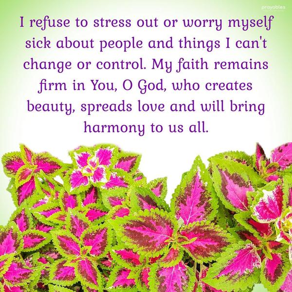 I refuse to stress out or worry myself sick about people and things I can't change or control. My faith remains firm in You, O God, who creates beauty,
spreads love and will bring harmony to us all.
