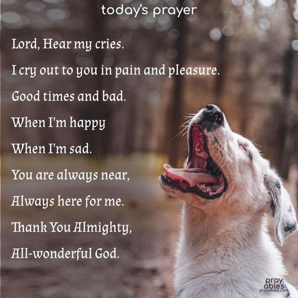 Lord, Hear my cries. I cry out to you in pain and pleasure. Good times and bad. When I'm happy, when I'm sad. You are always near. always here for me. Thank You Almighty, All-wonderful God.