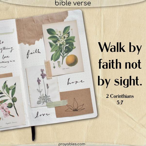 2 Corinthians 5:7 Walk by faith, not by sight.