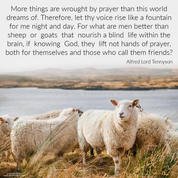 More things are wrought by prayer than this world dreams of. Therefore, let thy voice rise like a fountain for me night and day. For what are men better than sheep or goats that nourish a
blind life within the brain, if knowing God, they lift not hands of prayer, both for themselves and those who call them friends? Alfred Lord Tennyson