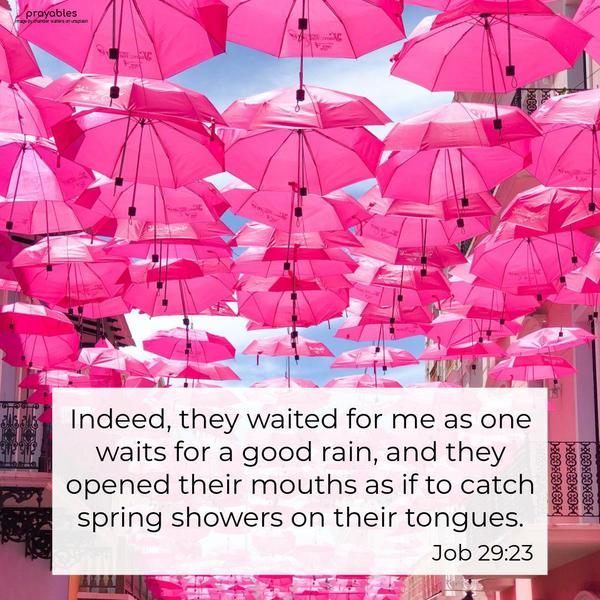 Job 29:23 Indeed, they waited for me as one waits for a good rain, and they opened their mouths as if to catch spring showers on their tongues.