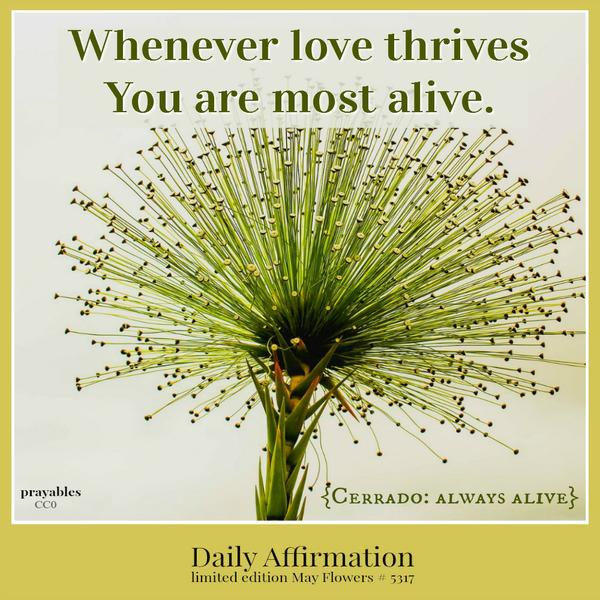 whenever love thrives you are most alive.