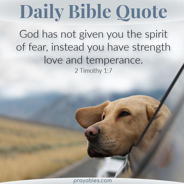 2 Timothy 1:7 God has not given you the spirit of fear, instead, you have strength, love, and temperance.