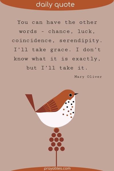 You can have the other words – chance, luck, coincidence, serendipity. I’ll take grace. I don’t know what it is exactly, but I’ll take it. Mary Oliver