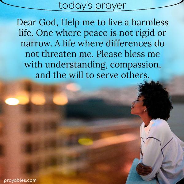 Dear God, Help me to live a harmless life. One where peace is not rigid or narrow. A life where differences do not threaten me. Please bless me with understanding, compassion,
and the will to serve others.