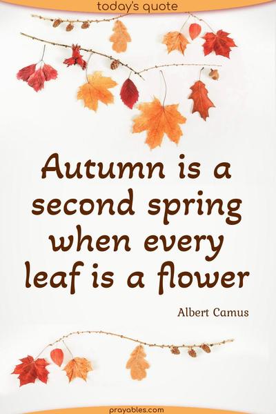 Autumn is a second spring when every leaf is a flower Albert Camus