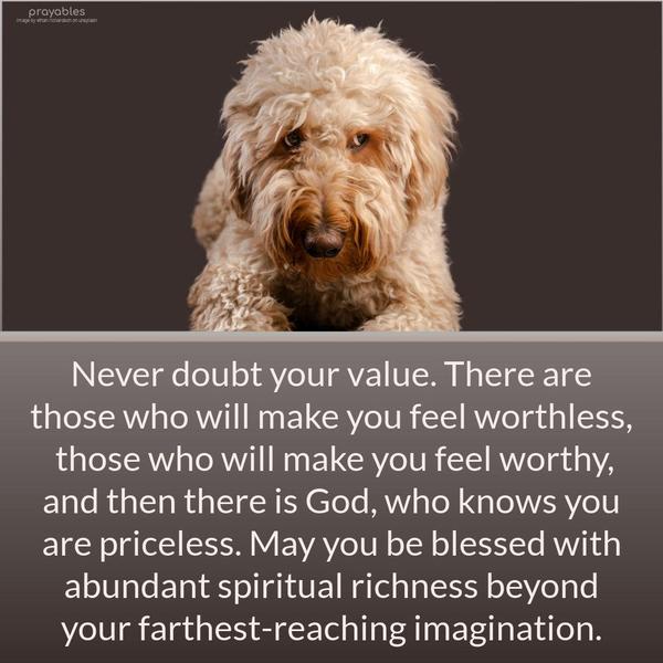 Never doubt your value. There are those who will make you feel worthless, those who will make you feel worthy, and then there is God, who knows you are priceless. May you be blessed with
abundant spiritual richness beyond your farthest-reaching imagination.