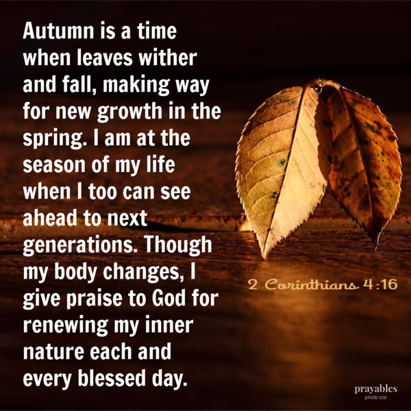 2 Corinthians 4:16 Autumn is a time when leaves wither and fall, making way for new growth in the spring. I am at the season of my life when I too can see ahead to next generations. Though my body changes, I give praise to God for renewing
my inner nature each and every blessed day.