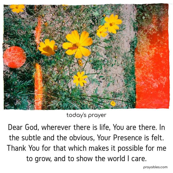 Dear God, wherever there is life, You are there. In the subtle and the obvious, Your Presence is felt. Thank You for that which makes it possible for me to grow, and to show the world I care.