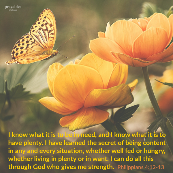 Philippians 4:12-13 I know what it is to be in need, and I know what it is to have plenty. I have learned the secret of being content in any and every situation, whether well fed or hungry, whether living in plenty or in want. I can do all
this through God who gives me strength.