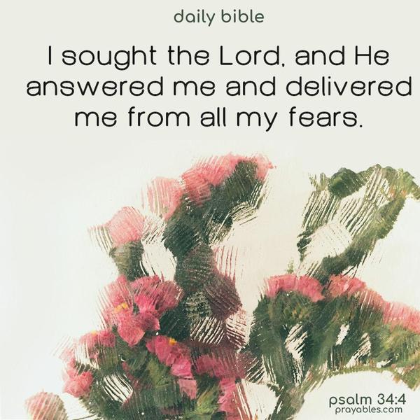 I sought the Lord, and He answered me and delivered me from all my fears. Psalm 34:4