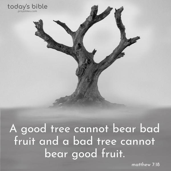 A good tree cannot bear bad fruit and a bad tree cannot bear good fruit. Matthew 7:18