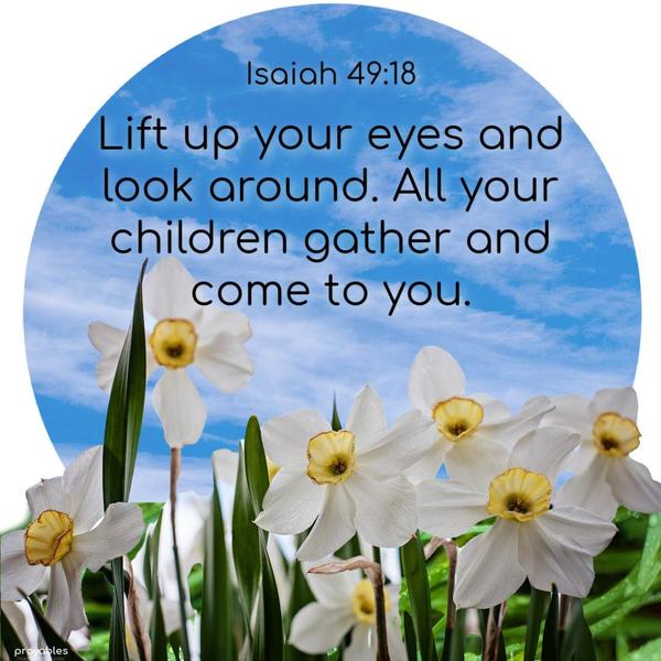 Isaiah 49:18 Lift up your eyes and look around. All your children gather and come to you.