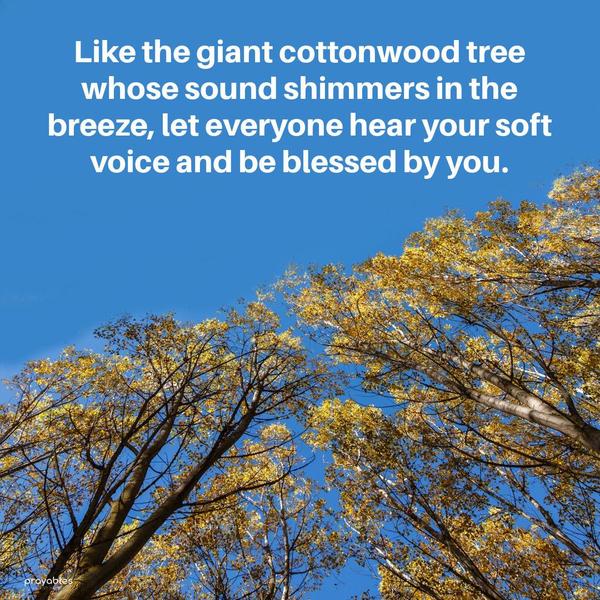 Like the giant cottonwood tree whose sound shimmers in the breeze, let everyone hear your soft voice and be blessed by you.