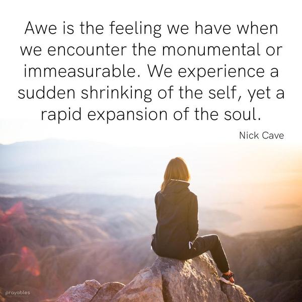 Awe is the feeling we have when we encounter the monumental or immeasurable. We experience a sudden shrinking of the self yet a rapid expansion of the soul. Nick Cave