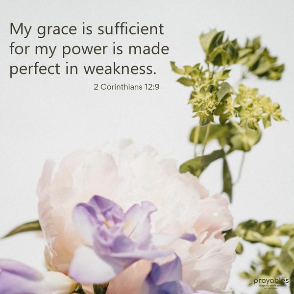 2 Corinthians 12:9  My grace is sufficient, for my power is made perfect in weakness.