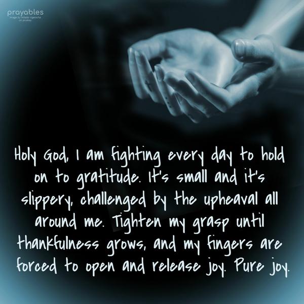 Holy God, I am fighting every day to hold on to gratitude. It’s small and it’s slippery, challenged by the upheaval all around me. Tighten my grasp until thankfulness grows,
and my fingers are forced to open and release joy. Pure joy.