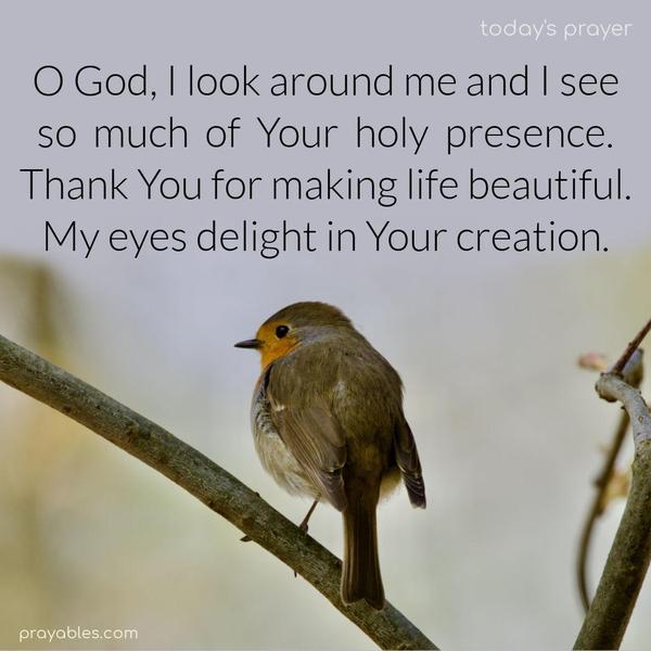 O God, I look around me, and I see so much of Your holy presence. Thank You for making life beautiful. My eyes delight in Your creation.