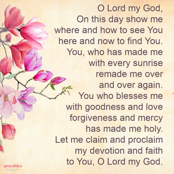 O Lord my God, On this day show me where and how to see You here and now to find You. You, who has made me with every sunrise remade me over and over again. You who blesses me with goodness and love forgiveness and mercy has made me holy.
Let me claim and proclaim my devotion and faith to You, O Lord my God.