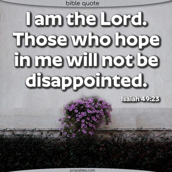 Isaiah 49:23 I am the Lord. Those who hope in me will not be disappointed.