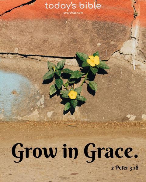 Grow in grace. 2 Peter 3:18