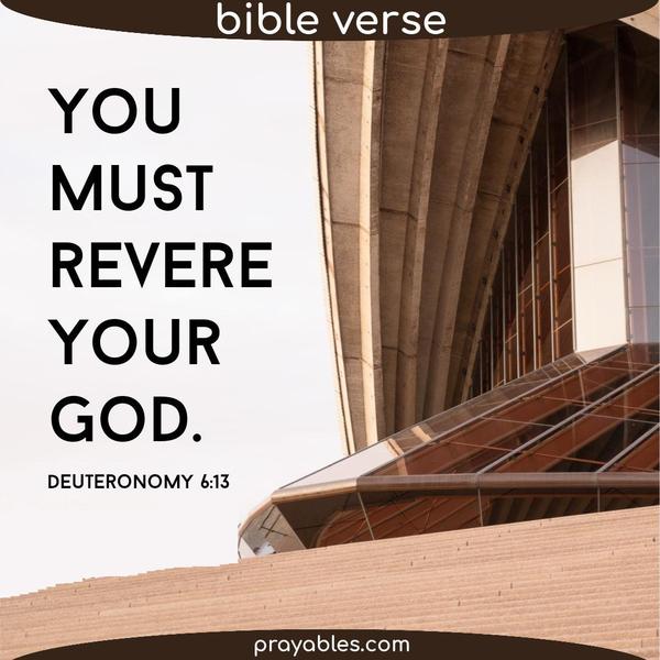 Deuteronomy 6:13 You must revere Your God.