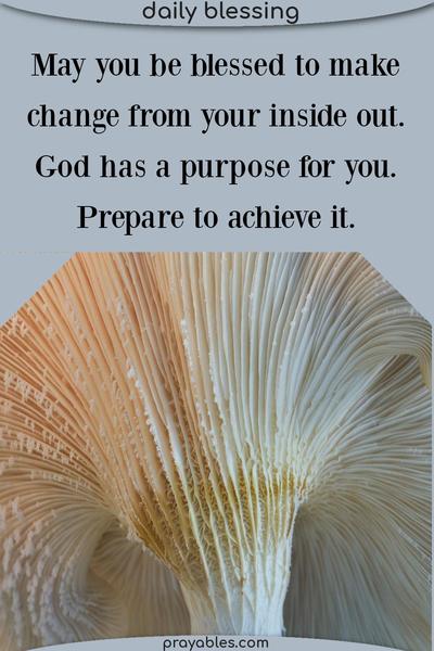May you be blessed to make change from your inside out. God has a purpose for you. Prepare to achieve it.