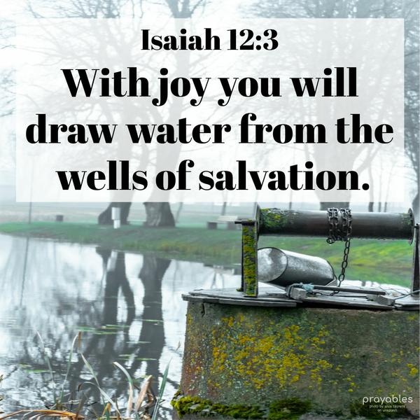 Isaiah 12:3 With joy you will draw water from the wells of salvation.