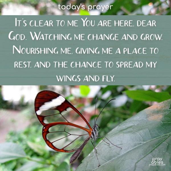 It’s clear to me You are here, dear God. Watching me change and grow. Nourishing me, giving me a place to rest, and the chance to spread my wings and fly.