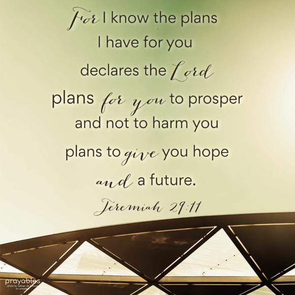 Jeremiah 29:11 For I know the plans I have for you, declares the Lord, plans for you to prosper, and not to harm you, plans to give you hope and a future.