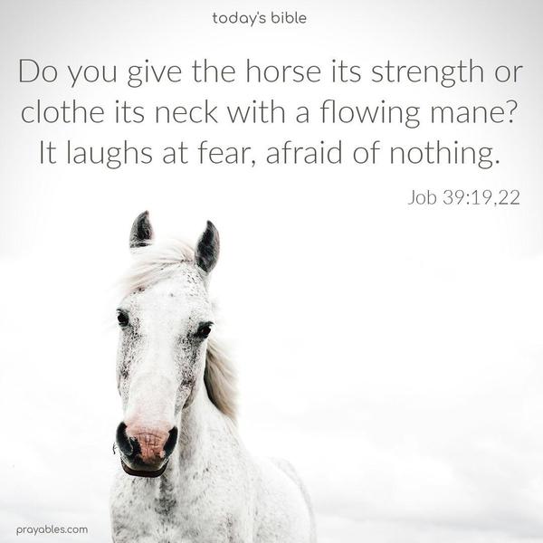 Plans fail for lack of counsel, but with many advisers they succeed. Proverbs 15:22